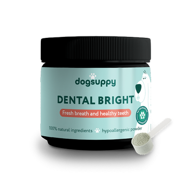 Dental Bright 🌿 100% naturlige ingredienser 🫙 60 porsjoner